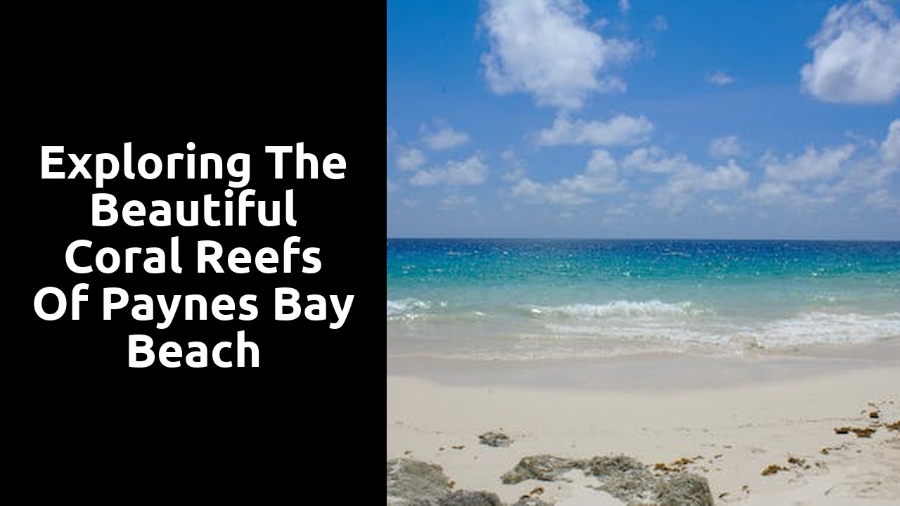 Exploring the Beautiful Coral Reefs of Paynes Bay Beach