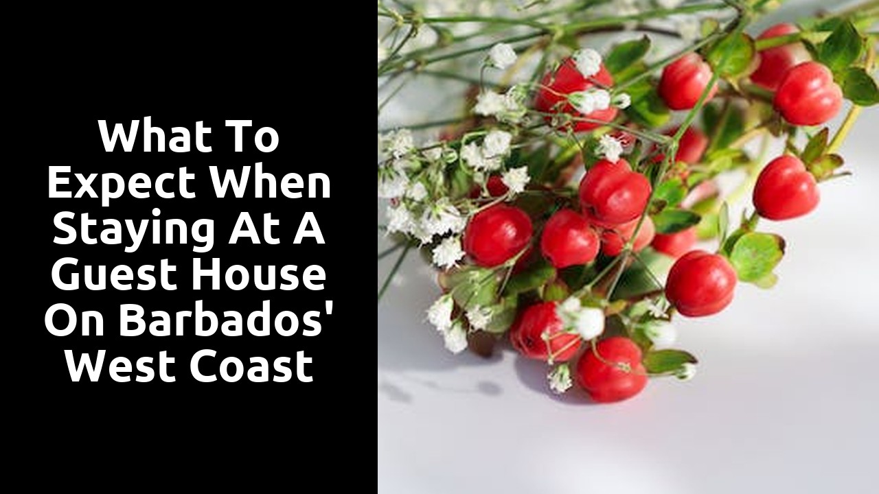What to expect when staying at a guest house on Barbados' west coast