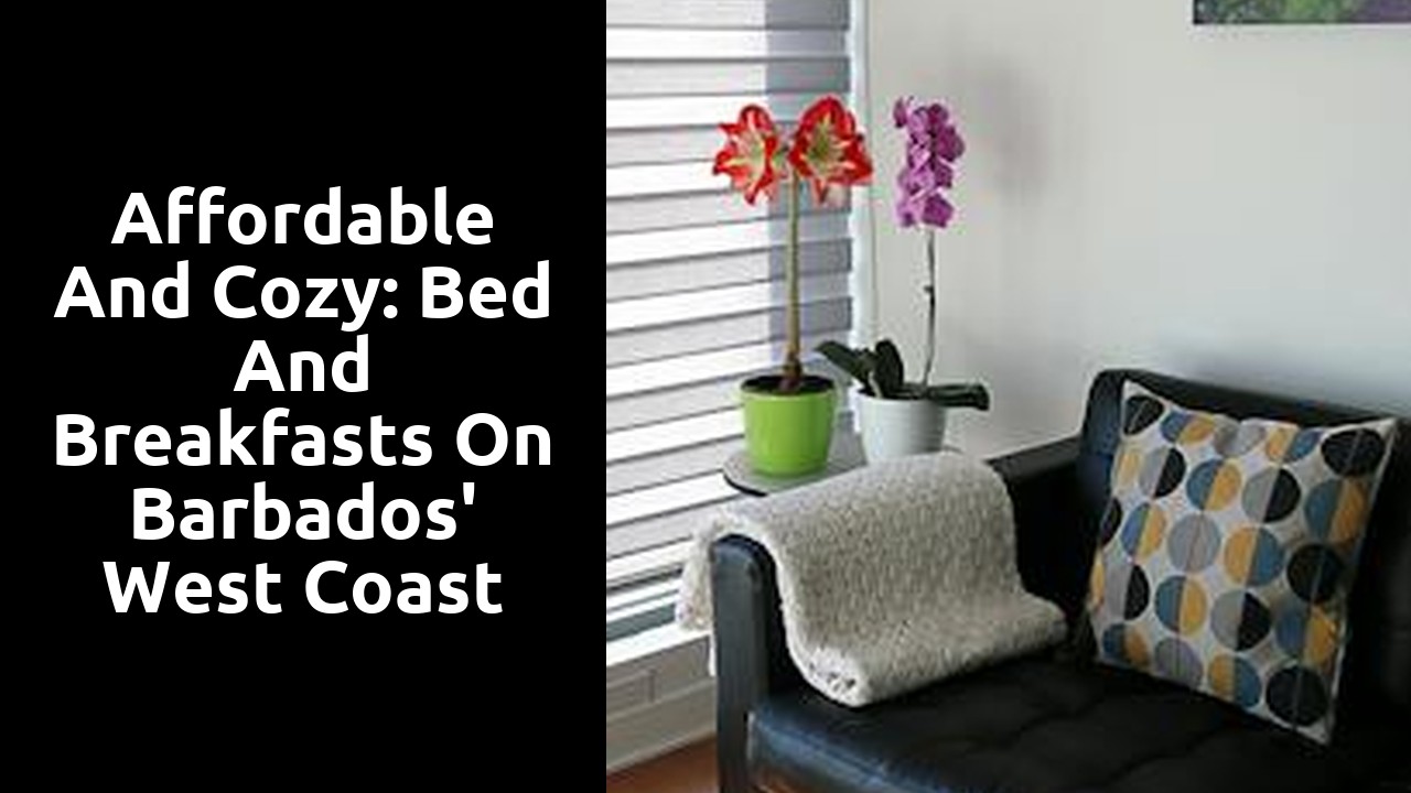 Affordable and Cozy: Bed and Breakfasts on Barbados' West Coast