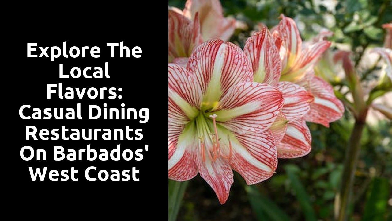 Explore the Local Flavors: Casual Dining Restaurants on Barbados' West Coast