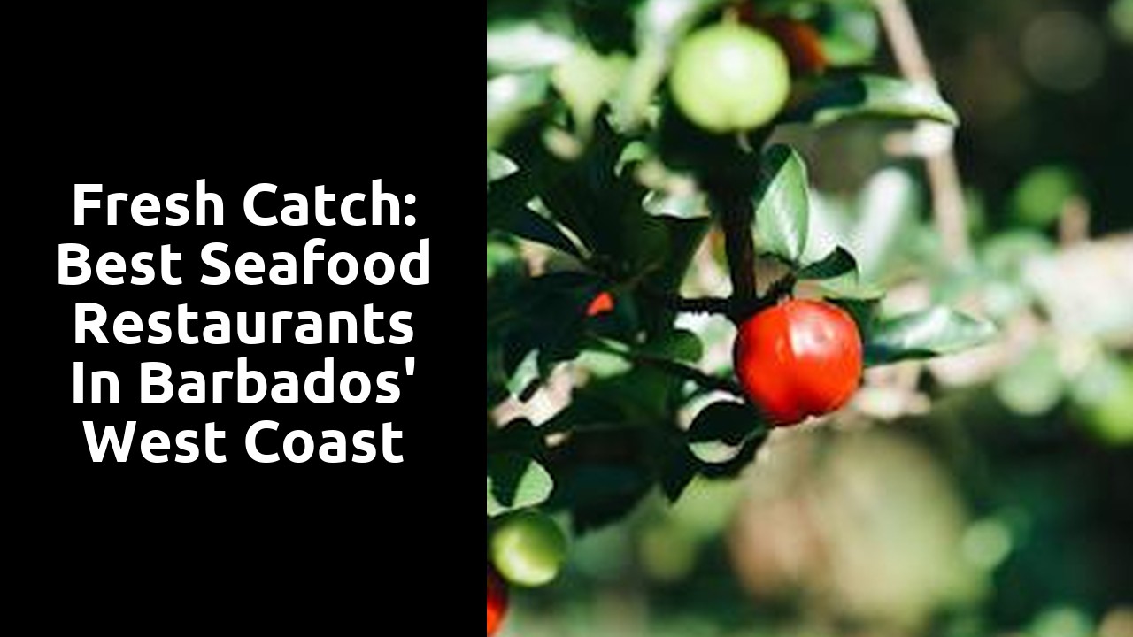 Fresh Catch: Best Seafood Restaurants in Barbados' West Coast