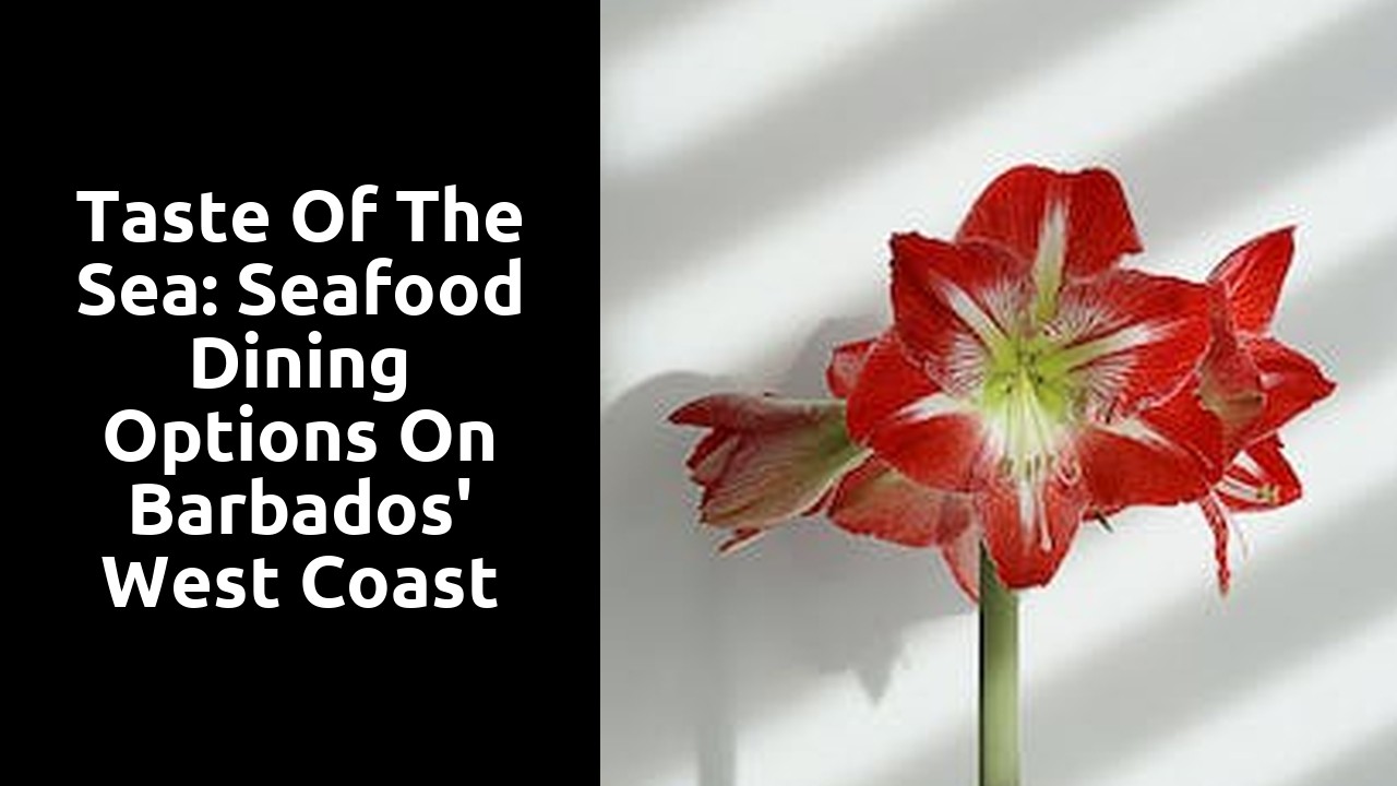 Taste of the Sea: Seafood Dining Options on Barbados' West Coast