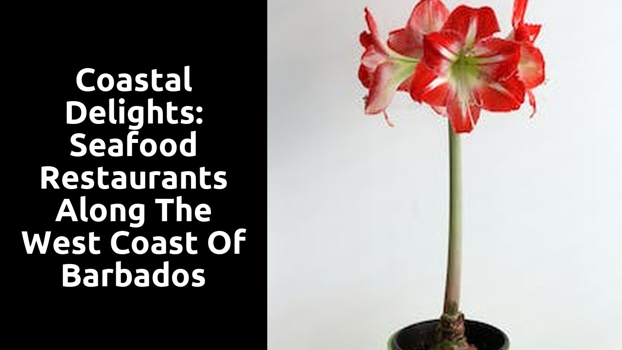 Coastal Delights: Seafood Restaurants along the West Coast of Barbados