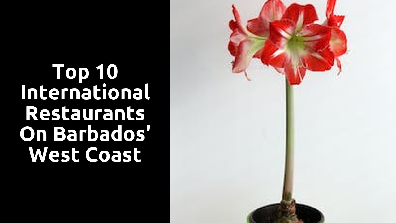 Top 10 International Restaurants on Barbados' West Coast
