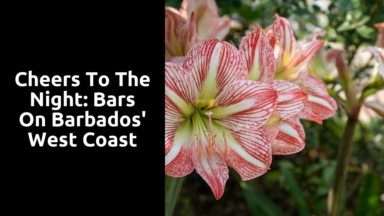 Cheers to the Night: Bars on Barbados' West Coast