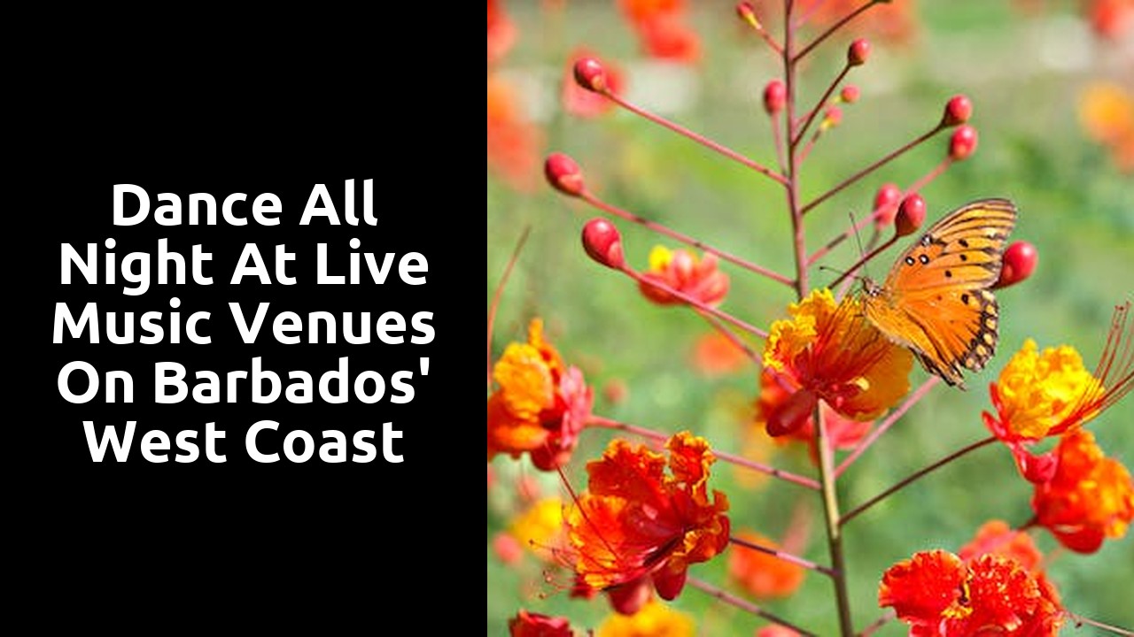 Dance All Night at Live Music Venues on Barbados' West Coast