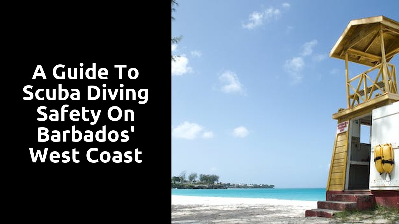A Guide to Scuba Diving Safety on Barbados' West Coast