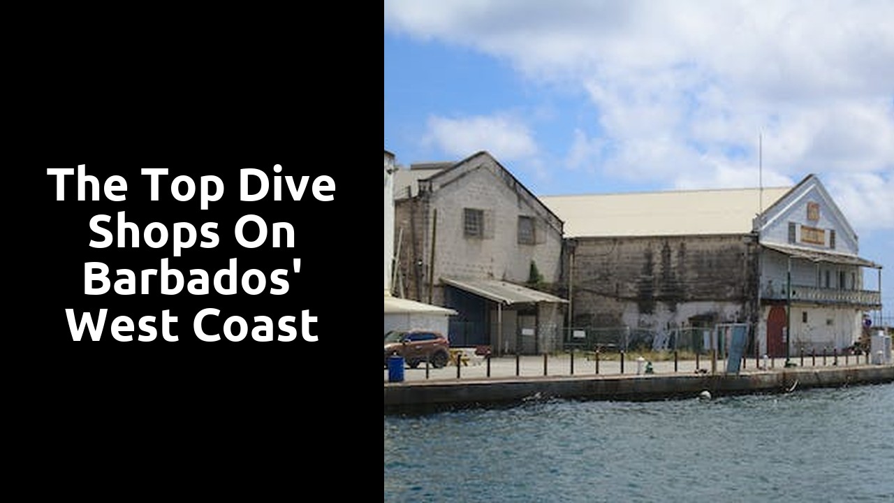 The Top Dive Shops on Barbados' West Coast